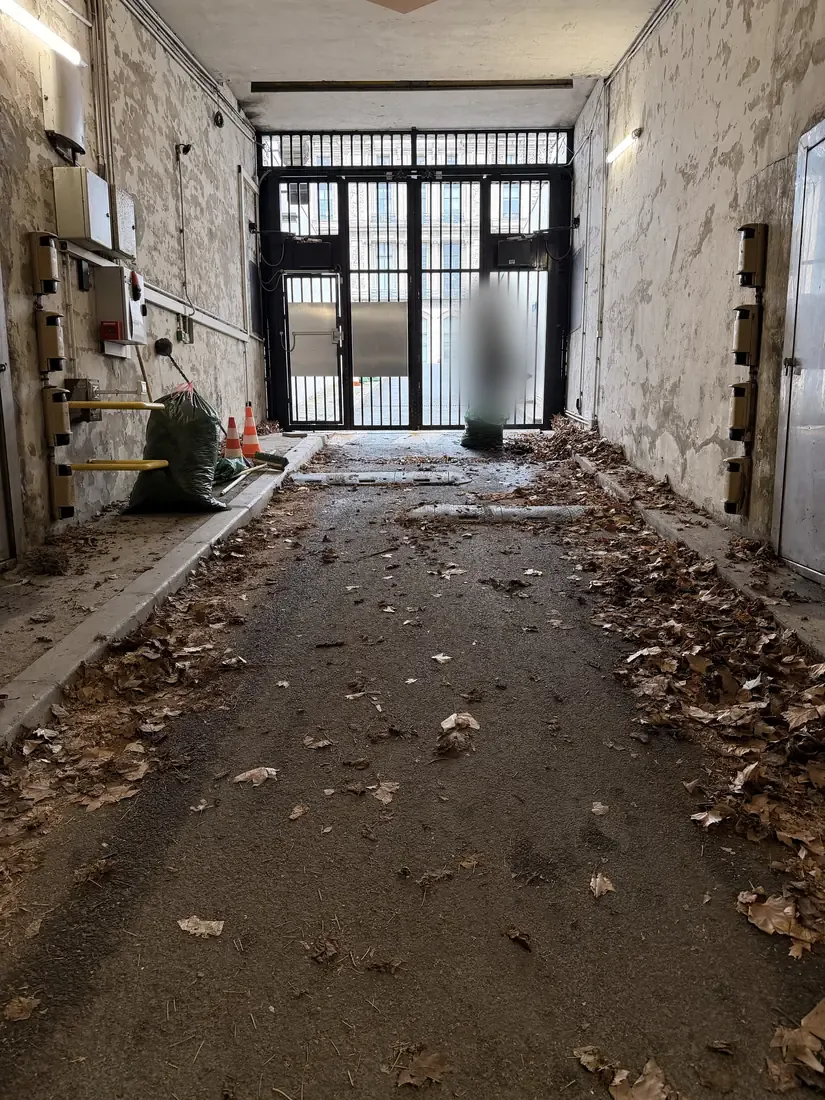 Couloir d’accès avant nettoyage : feuilles mortes et débris au sol